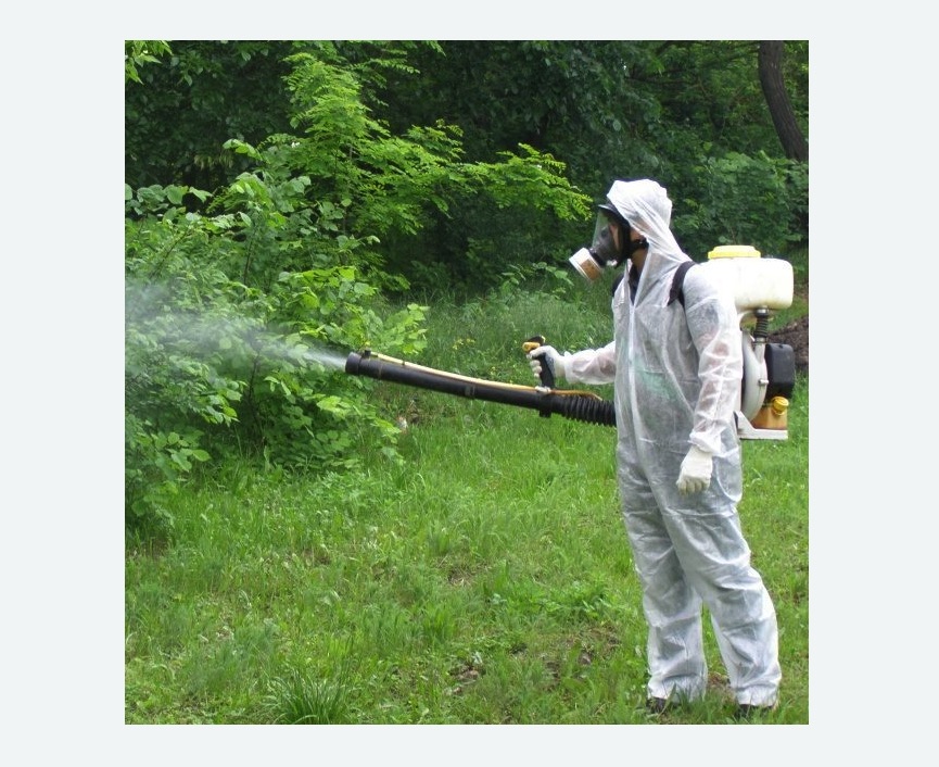 обработка территории от клещей в Колпашево