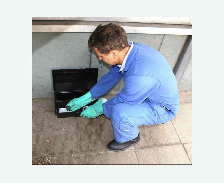 Дератизация помещения в Колпашево Дератизация помещения