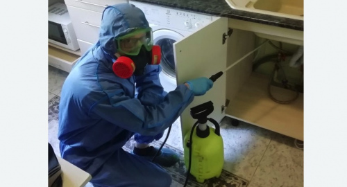 Уничтожение муравьев в квартире. Колпашево
