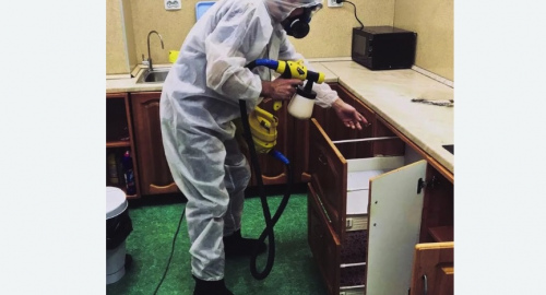 Уничтожение насекомых в квартире. Колпашево