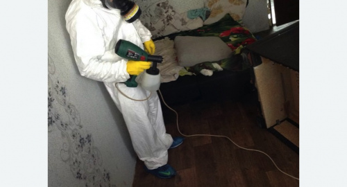 Обработка квартир от насекомых в Колпашево