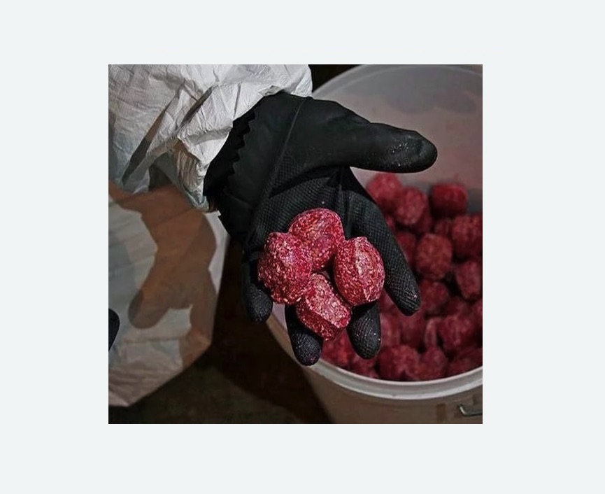 Обработка от крыс в Колпашево