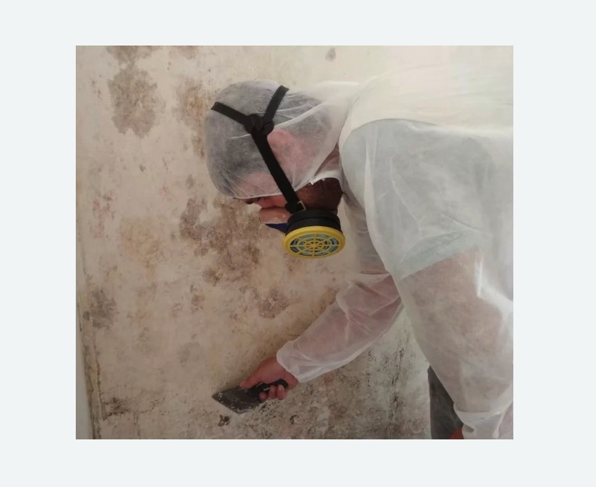 Обработка стен от плесени в Колпашево