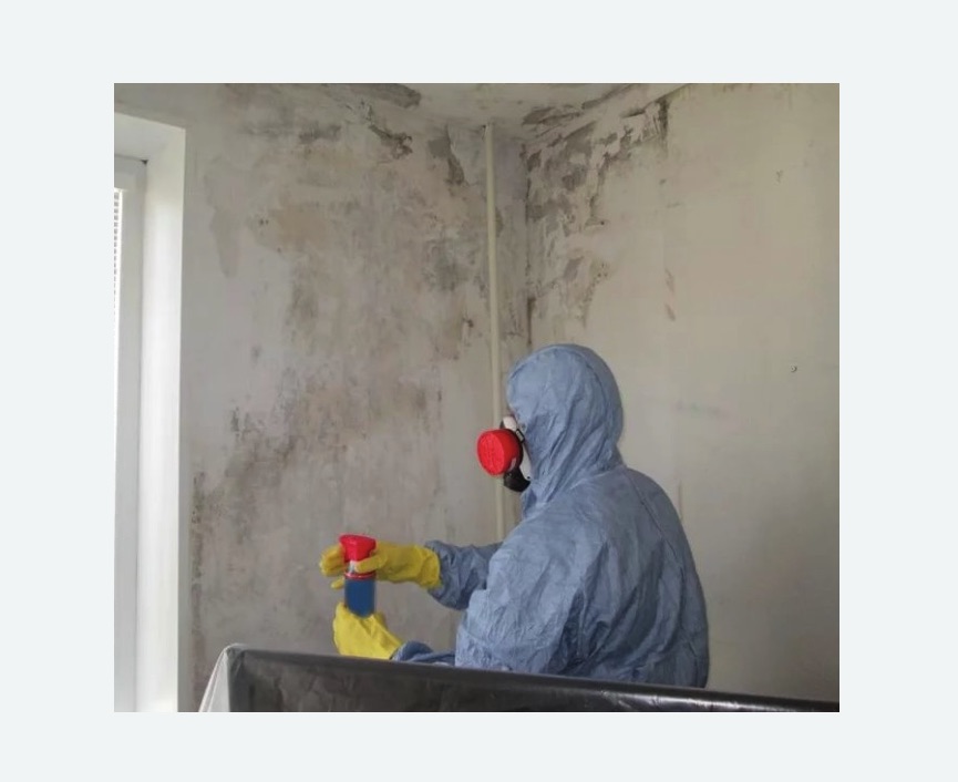 Удаление плесени в квартире в Колпашево