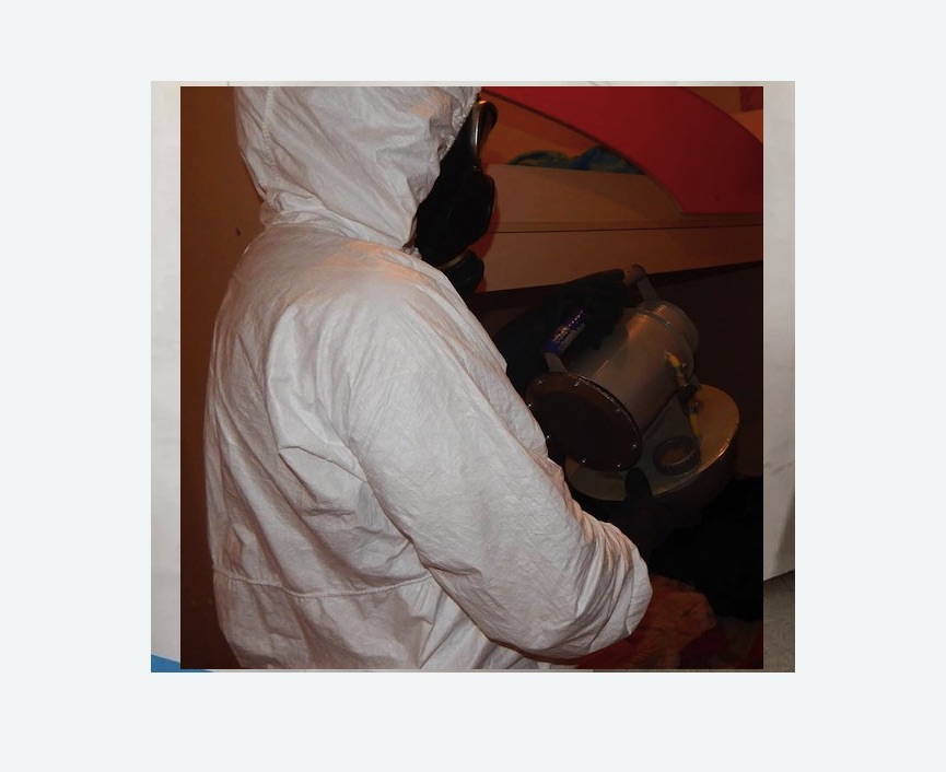 Дезинфекция от муравьев в Колпашево