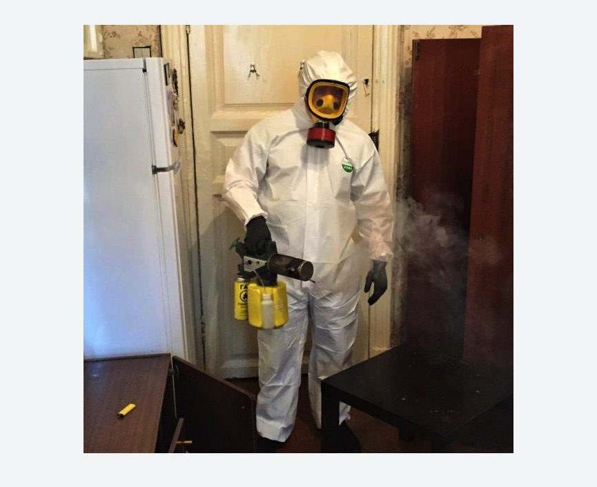 уничтожение муравьев в квартире в Колпашево